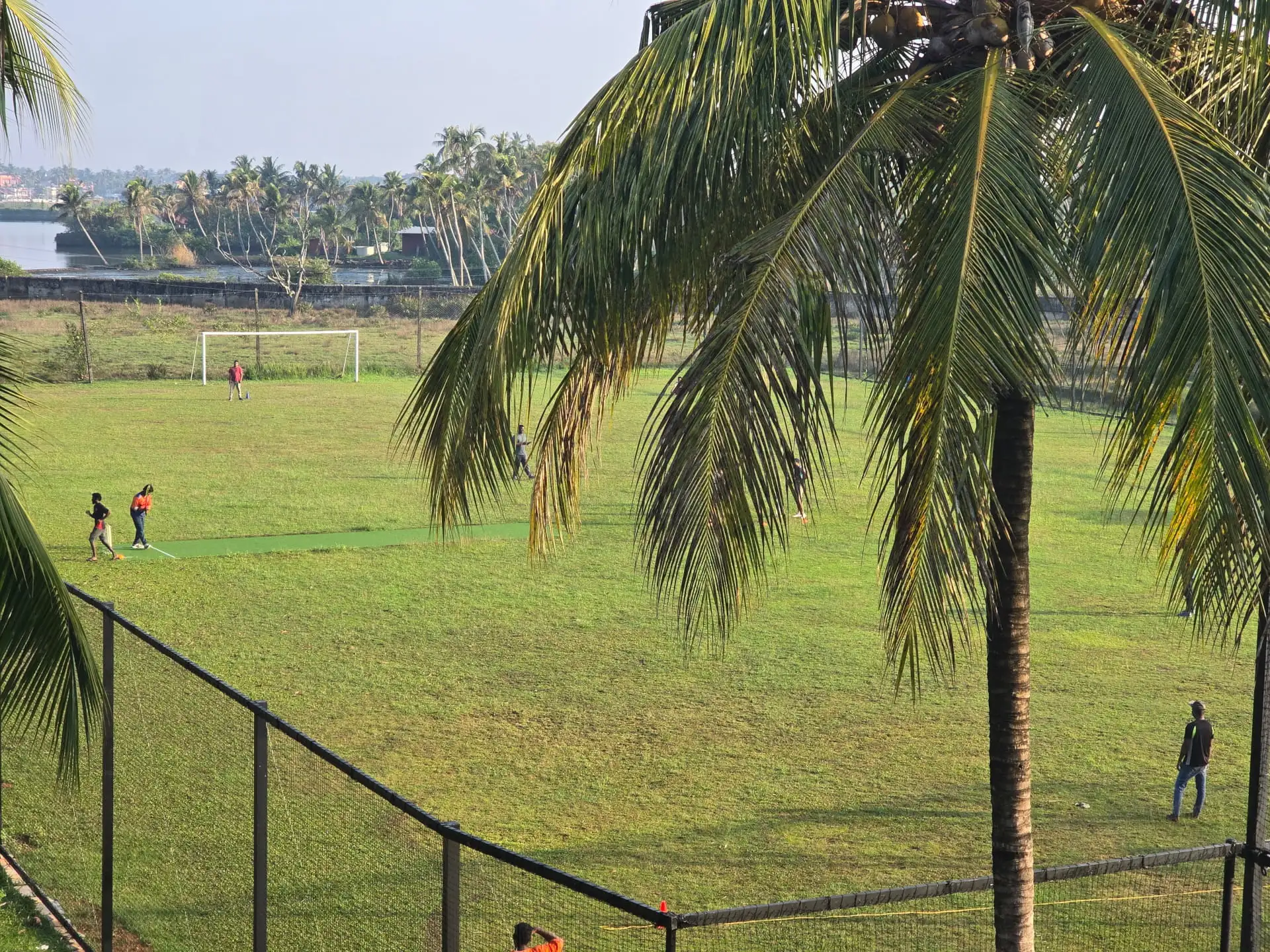 Natural Ground view 1