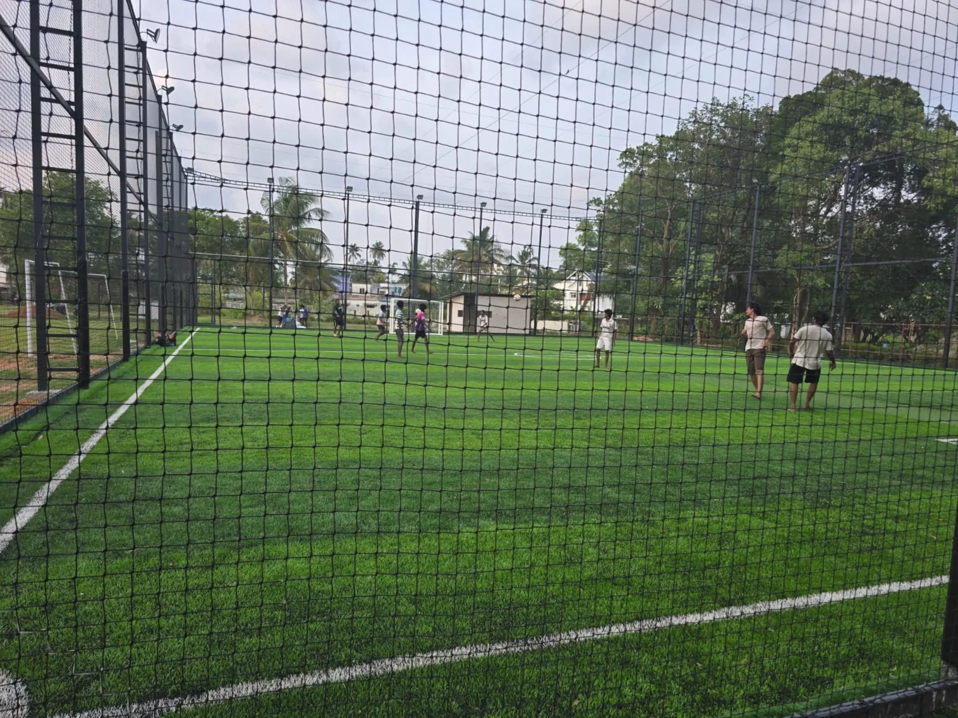 6S Turf view 4